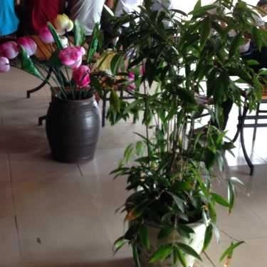 Tổng hợp- Ba Gian Cafe