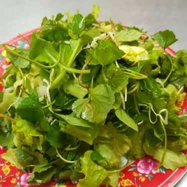 Tổng hợp- Nhà Hàng Bánh Khoái Lạc Thiện