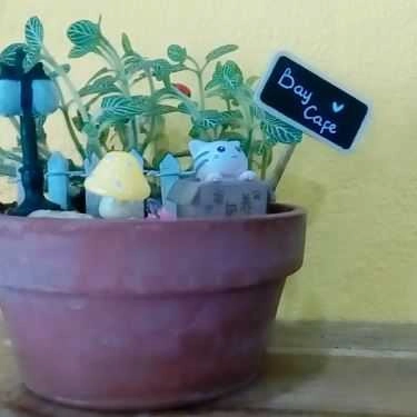 Tổng hợp- Bay Cafe