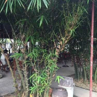 Tổng hợp- Bình An Đường Cafe