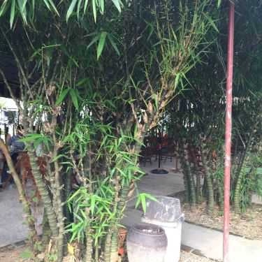 Tổng hợp- Bình An Đường Cafe