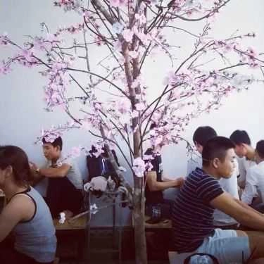 Tổng hợp- Bongo Coffee & Milk Tea - Triệu Quang Phục