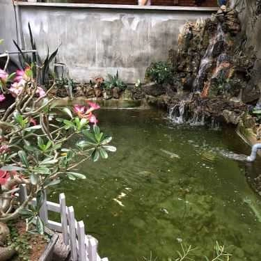 Tổng hợp- Boniva Coffee