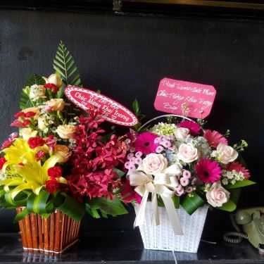 Tổng hợp- Bụi 75 Travel Cafe