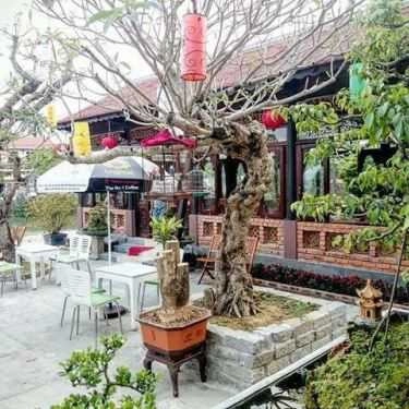 Tổng hợp- An Cựu Đông Cafe - Cafe Cây Cảnh