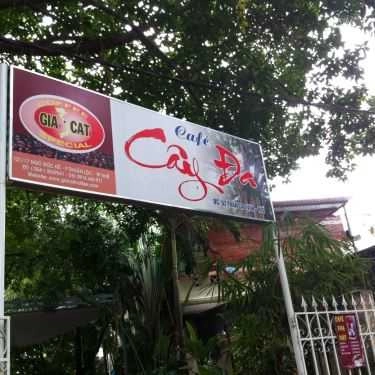 Tổng hợp- Cây Đa Cafe