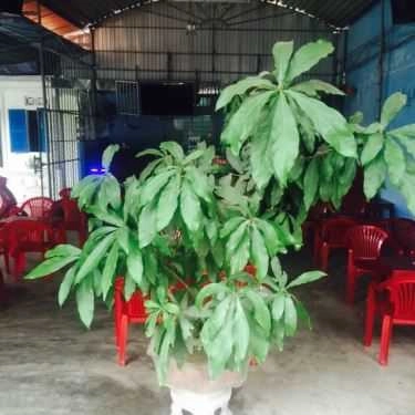 Không gian- Khanh Cafe - Nguyễn Trãi