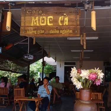 Tổng hợp- Mộc Cà Cafe