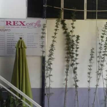 Tổng hợp- REX Cafe