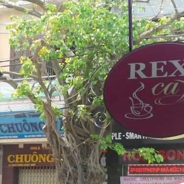 Tổng hợp- REX Cafe