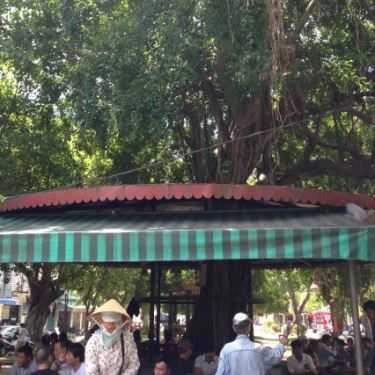 Tổng hợp- Cafe Sửu - Phan Đăng Lưu