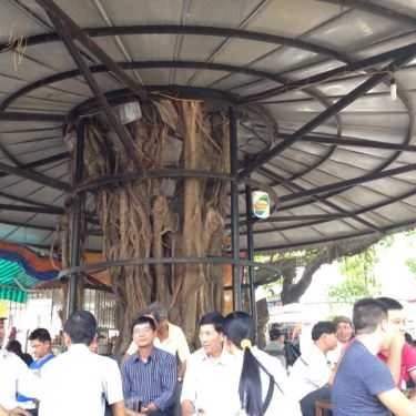 Tổng hợp- Cafe Sửu - Phan Đăng Lưu