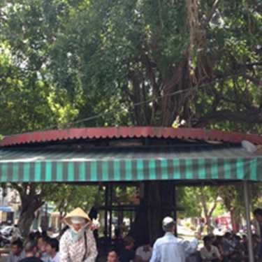 Tổng hợp- Cafe Sửu - Phan Đăng Lưu
