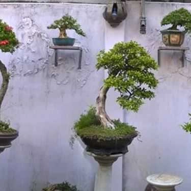 Tổng hợp- Thềm Xưa Cafe