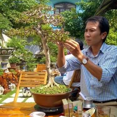 Tổng hợp- Thềm Xưa Cafe