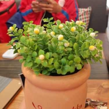 Tổng hợp- Cafe Campos Kafe