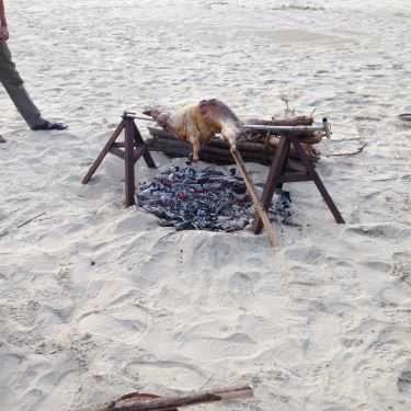 Tổng hợp- Nhà Hàng Cảnh Dương Beach Camp - Hải Sản Tươi Sống