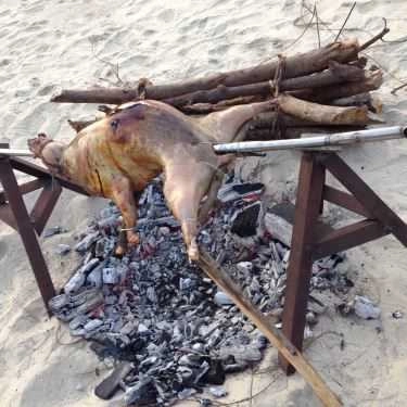 Tổng hợp- Nhà Hàng Cảnh Dương Beach Camp - Hải Sản Tươi Sống