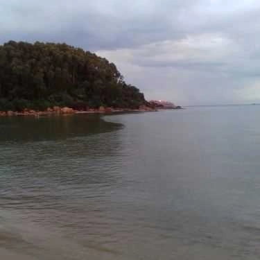 Tổng hợp- Nhà Hàng Cảnh Dương Beach Camp - Hải Sản Tươi Sống