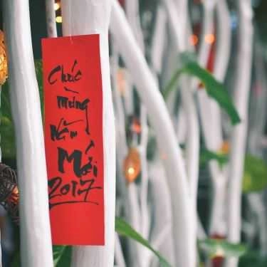 Tổng hợp- Cây Cafe