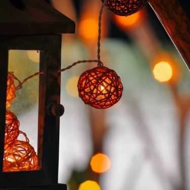 Tổng hợp- Cây Cafe
