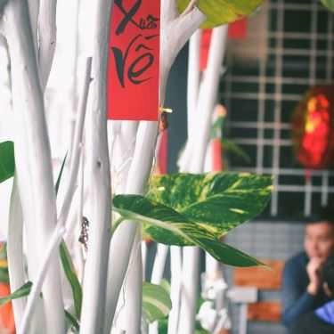 Tổng hợp- Cây Cafe