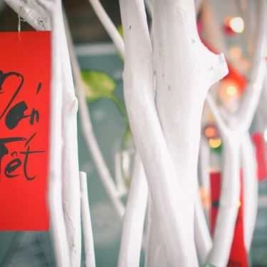 Tổng hợp- Cây Cafe