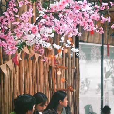 Tổng hợp- Cây Cafe