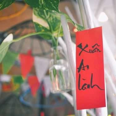 Tổng hợp- Cây Cafe