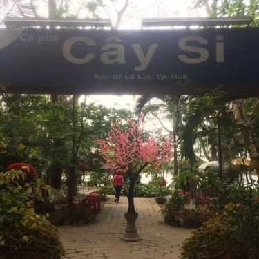 Tổng hợp- Cây Si Cafe