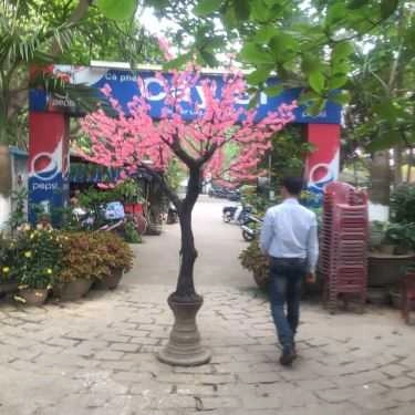 Không gian- Cây Si Cafe