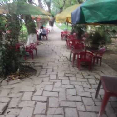 Không gian- Cây Si Cafe