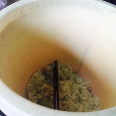 Tổng hợp- Ăn vặt Xôi & Cháo Gạo Lứt Nhật Lệ