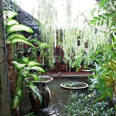 Tổng hợp- Ana Cafe