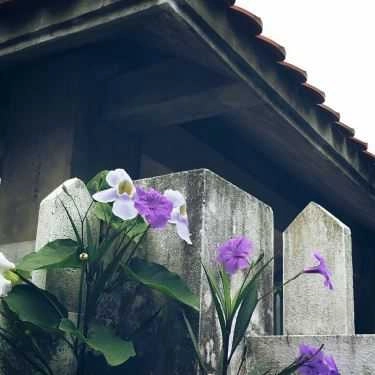 Tổng hợp- Lethi's Garden Cafe