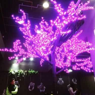 Tổng hợp- OWL Cafe