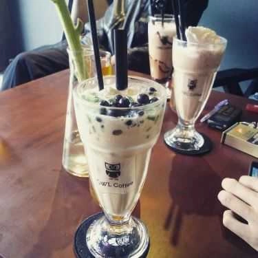 Tổng hợp- OWL Cafe