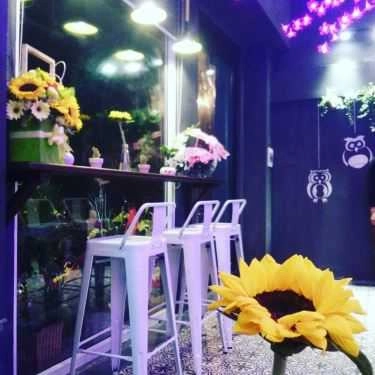 Tổng hợp- OWL Cafe