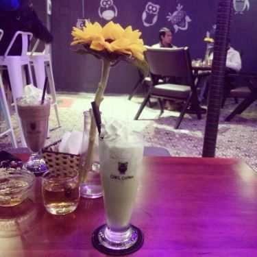 Tổng hợp- OWL Cafe