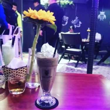 Tổng hợp- OWL Cafe