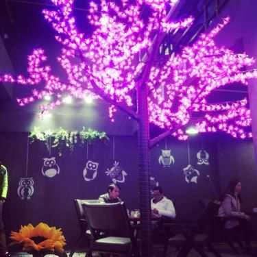Tổng hợp- OWL Cafe