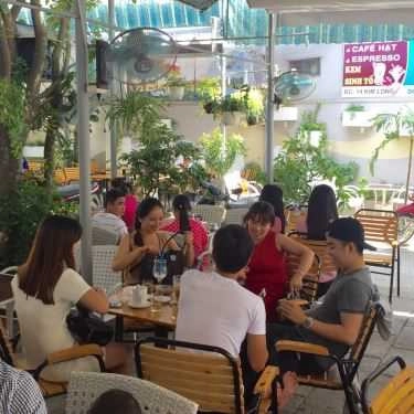 Tổng hợp- Sóc Nâu Cafe