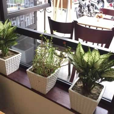 Tổng hợp- Đà Lạt Chốn Xưa Coffee