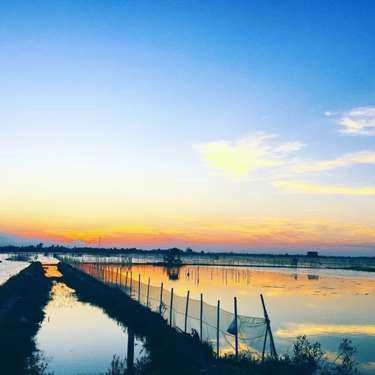 Tổng hợp- Nhà Hàng Đầm Chuồn Hương Quán