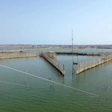 Tổng hợp- Nhà Hàng Đầm Chuồn Hương Quán