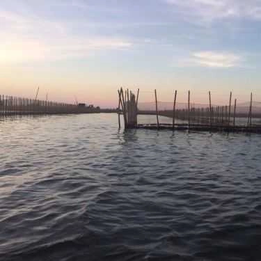 Tổng hợp- Nhà Hàng Đầm Chuồn Hương Quán