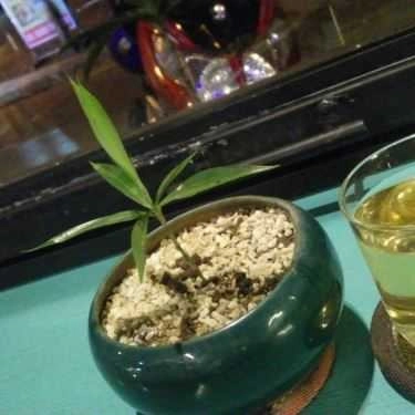 Tổng hợp- Fly Cafe