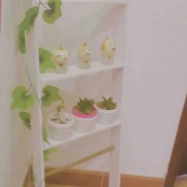 Tổng hợp- Gấu Cafe