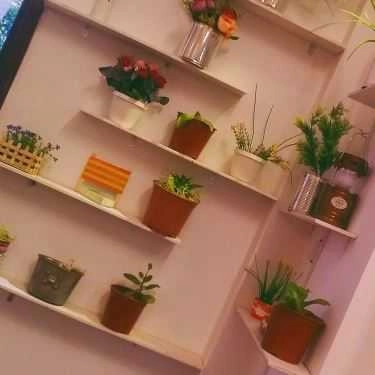 Tổng hợp- Gấu Cafe