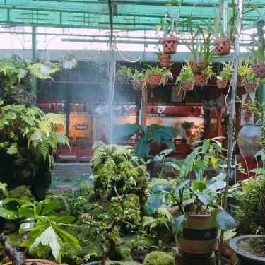 Tổng hợp- Giao Mùa Cafe